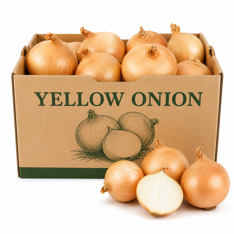 Yellow Onion